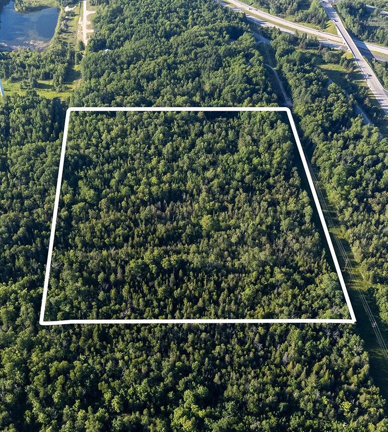 an aerial image of a forested lot of property for sale. Property lines surround the lot.